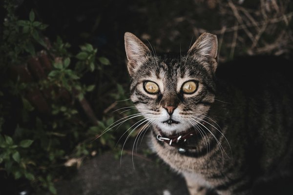 Wie optimiert man die Logistik in einem globalen Unternehmen?